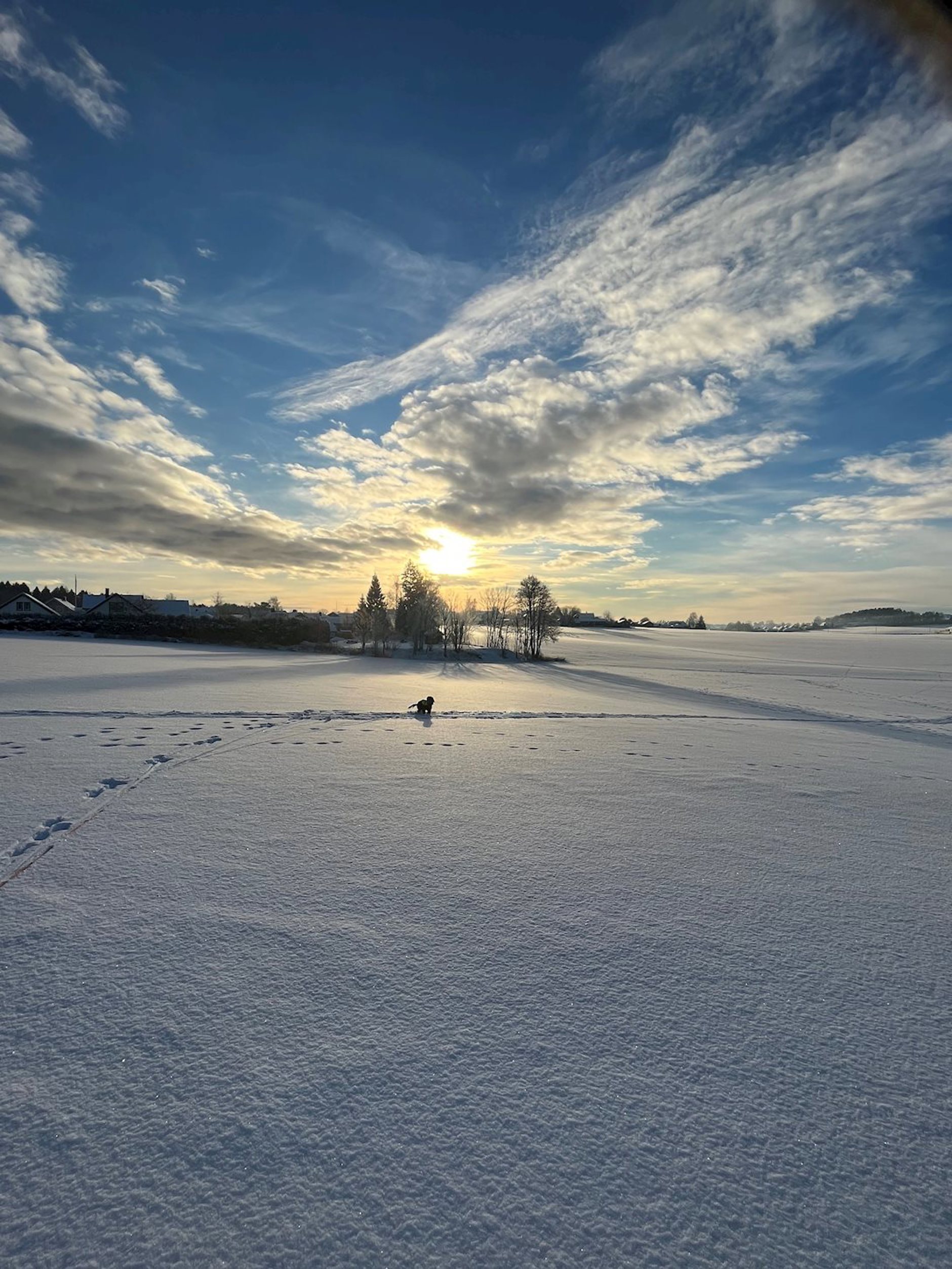 Gauterødveien 96 B, TØNSBERG | DNB Eiendom | Fra hjem til hjem