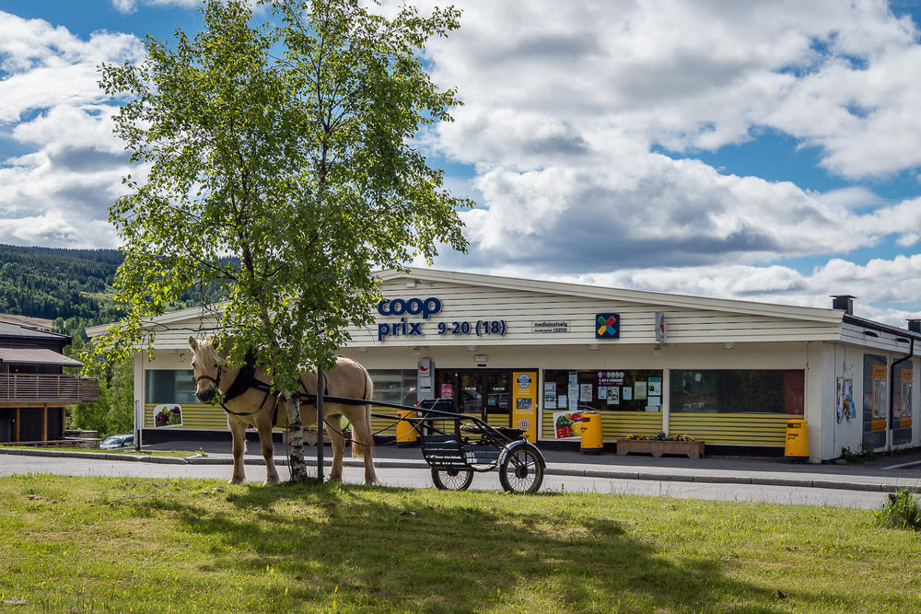 Veistensgutua 28, VESTRE GAUSDAL | DNB Eiendom | Fra hjem til hjem