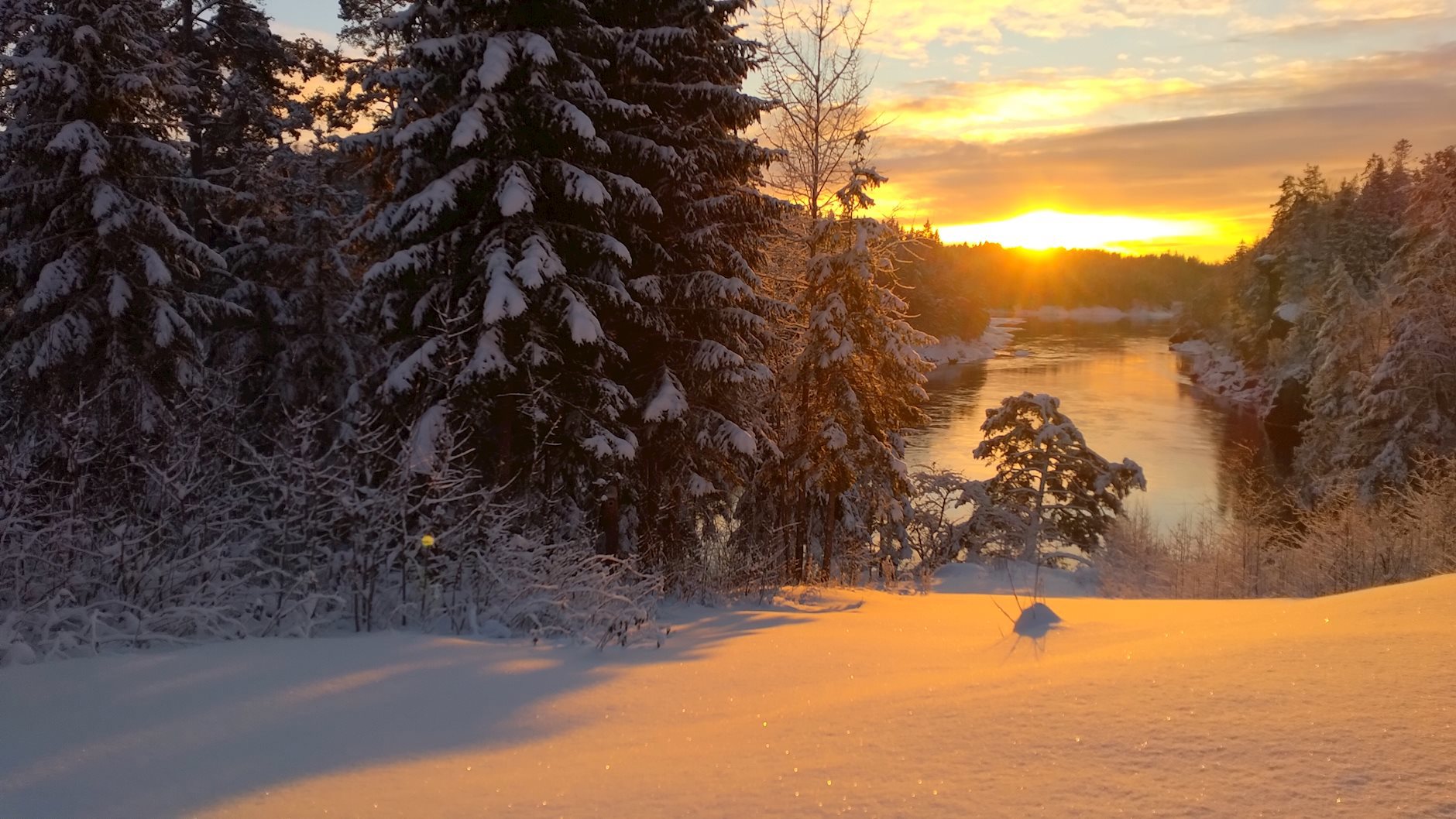 Fossumskogen 61, SPYDEBERG | DNB Eiendom | Fra hjem til hjem