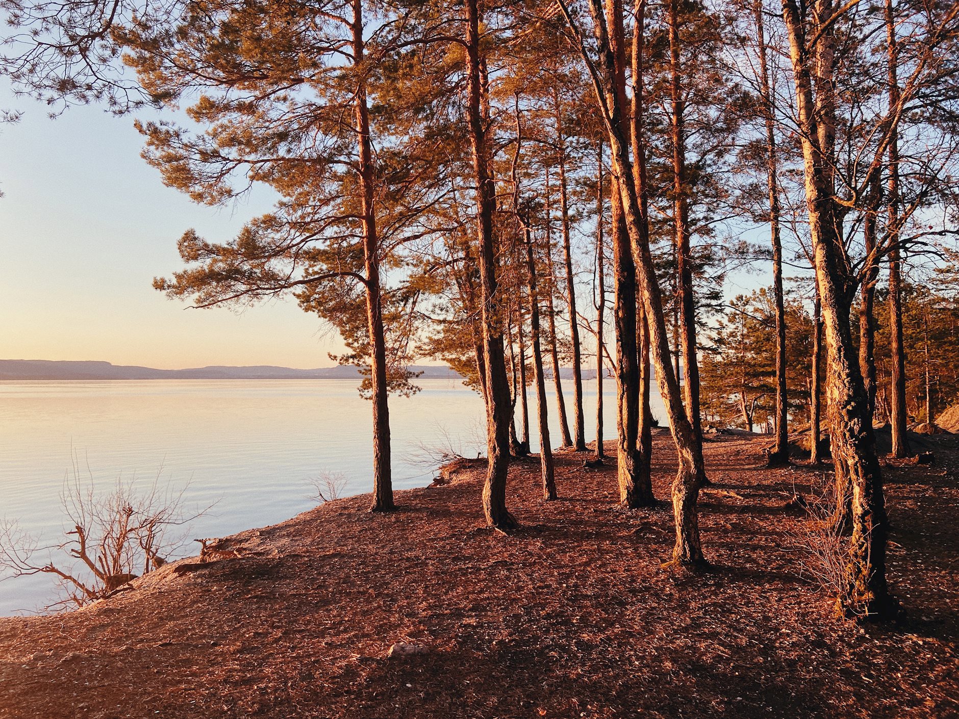 Spro Havn Seilet, trinn 1 - D703, FAGERSTRAND | DNB Eiendom | Fra hjem til hjem