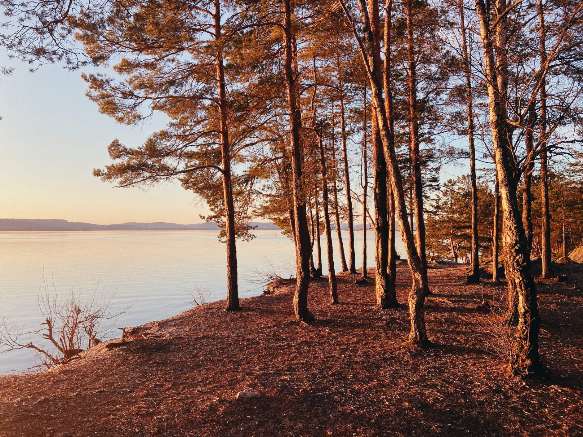 Spro Havn Fagerstrand - B 501, FAGERSTRAND | DNB Eiendom | Fra hjem til hjem