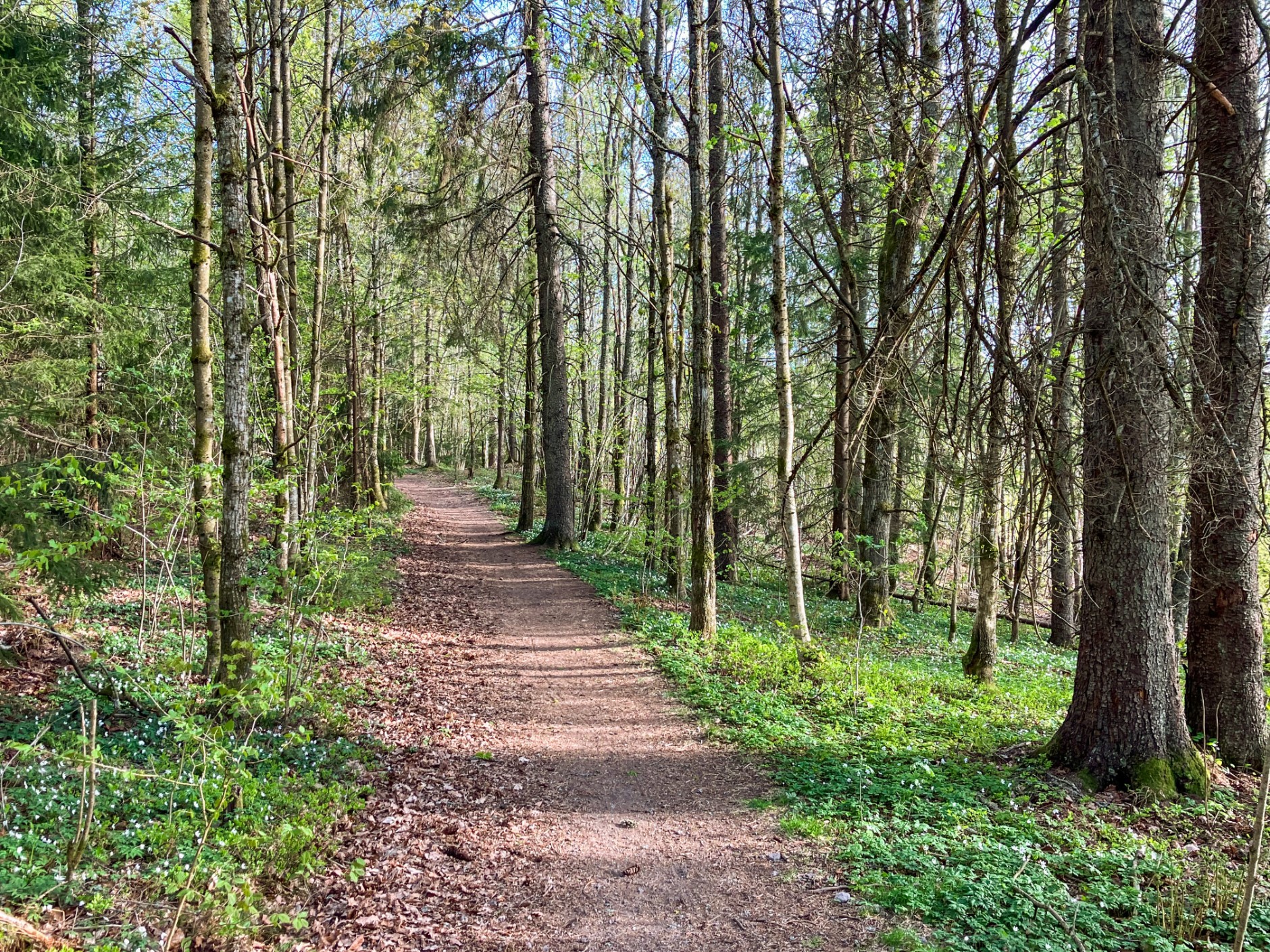 Nordahl Rolfsens vei 2, HOLMESTRAND