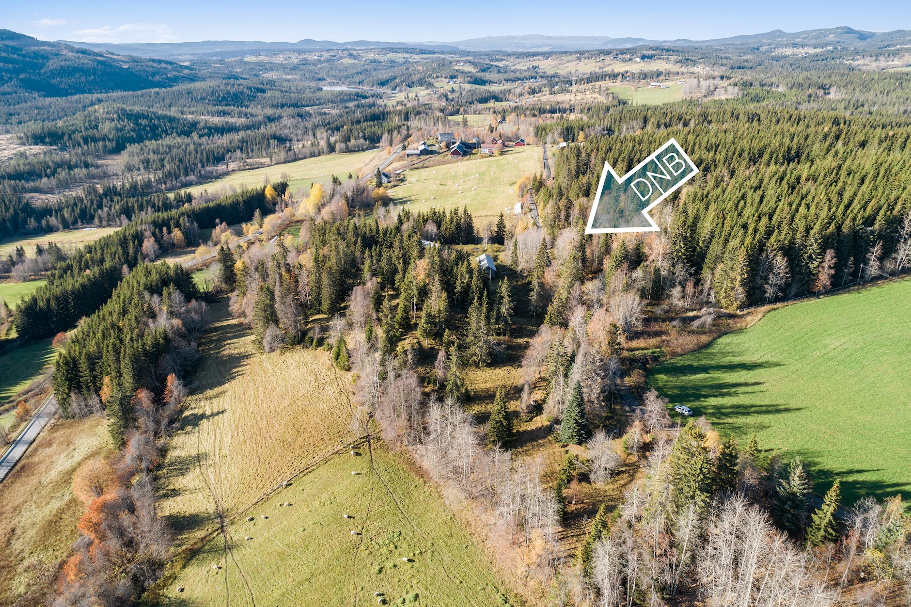 Плац, 1877 m²
