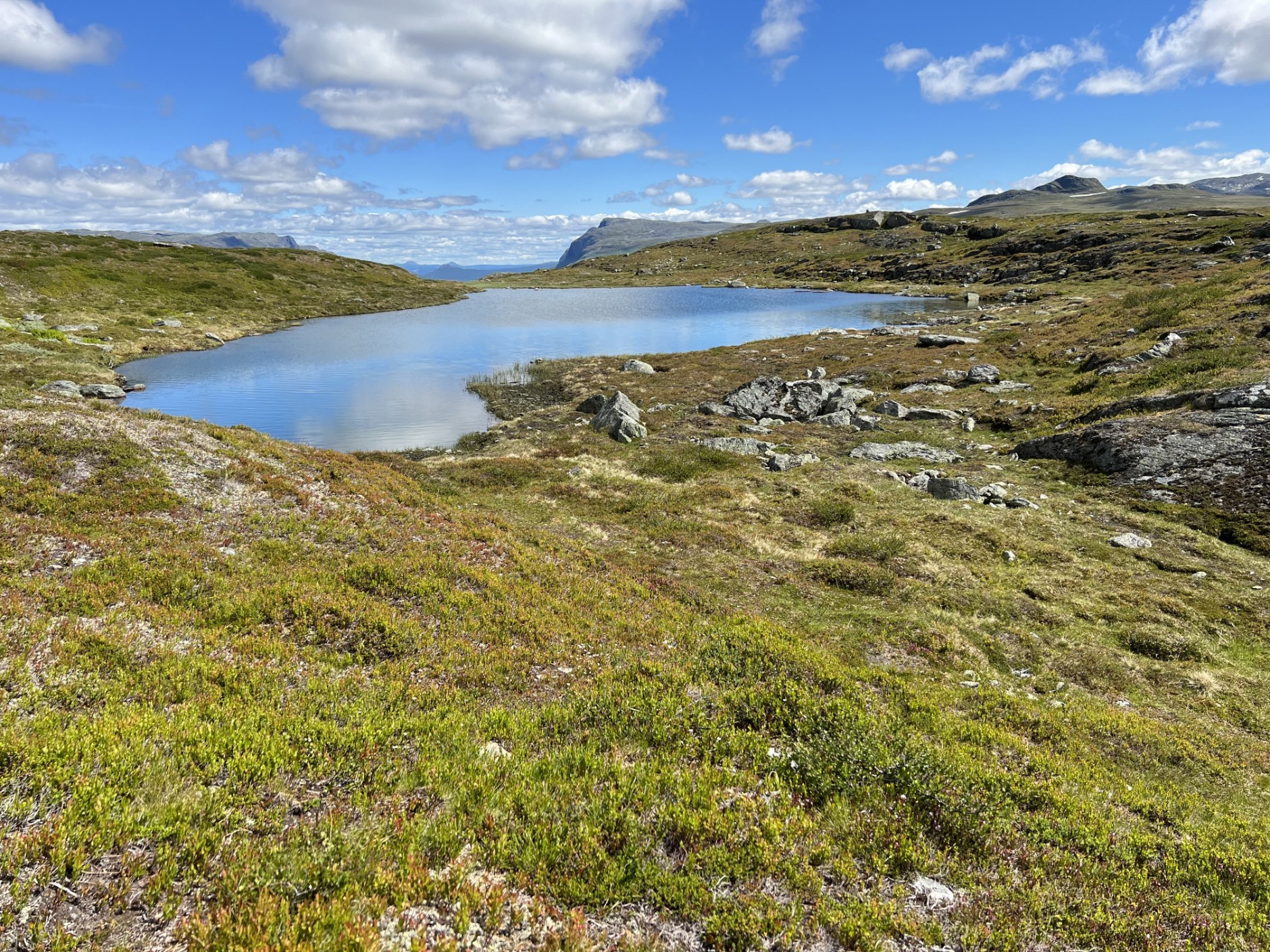 Børrenøsvegen 30, TYINKRYSSET | DNB Eiendom | Fra hjem til hjem