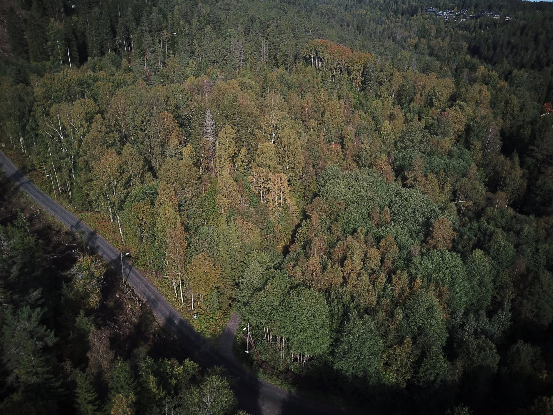 Noresvei 12, HEGGEDAL | DNB Eiendom | Fra hjem til hjem