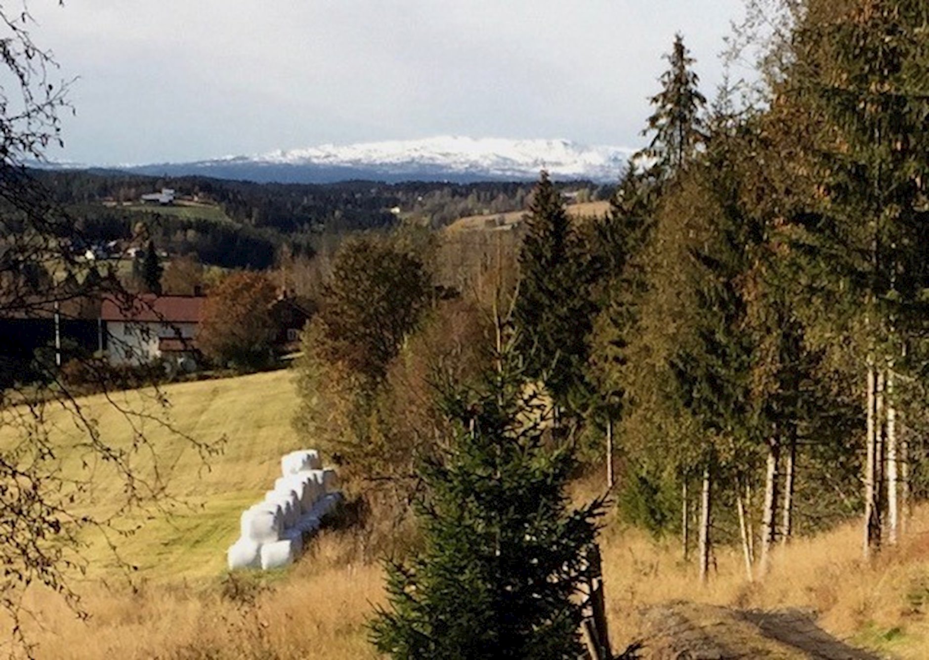 Ubebygd tomt 250/15, SNERTINGDAL | DNB Eiendom | Fra hjem til hjem