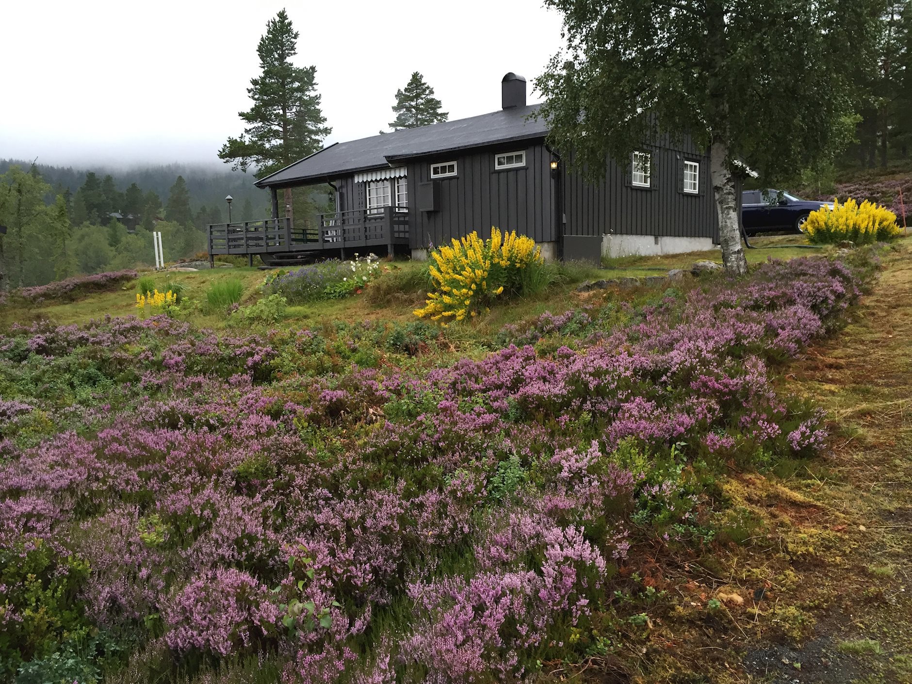 Rosendamveien 70, KONGSBERG | DNB Eiendom | Fra hjem til hjem