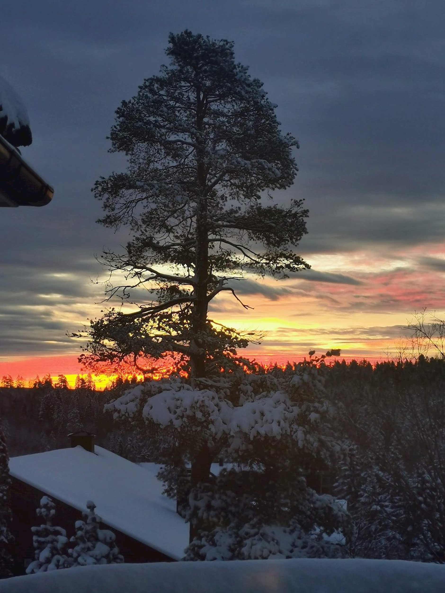 Skorkeberg alle 20A, DRØBAK | DNB Eiendom | Fra hjem til hjem