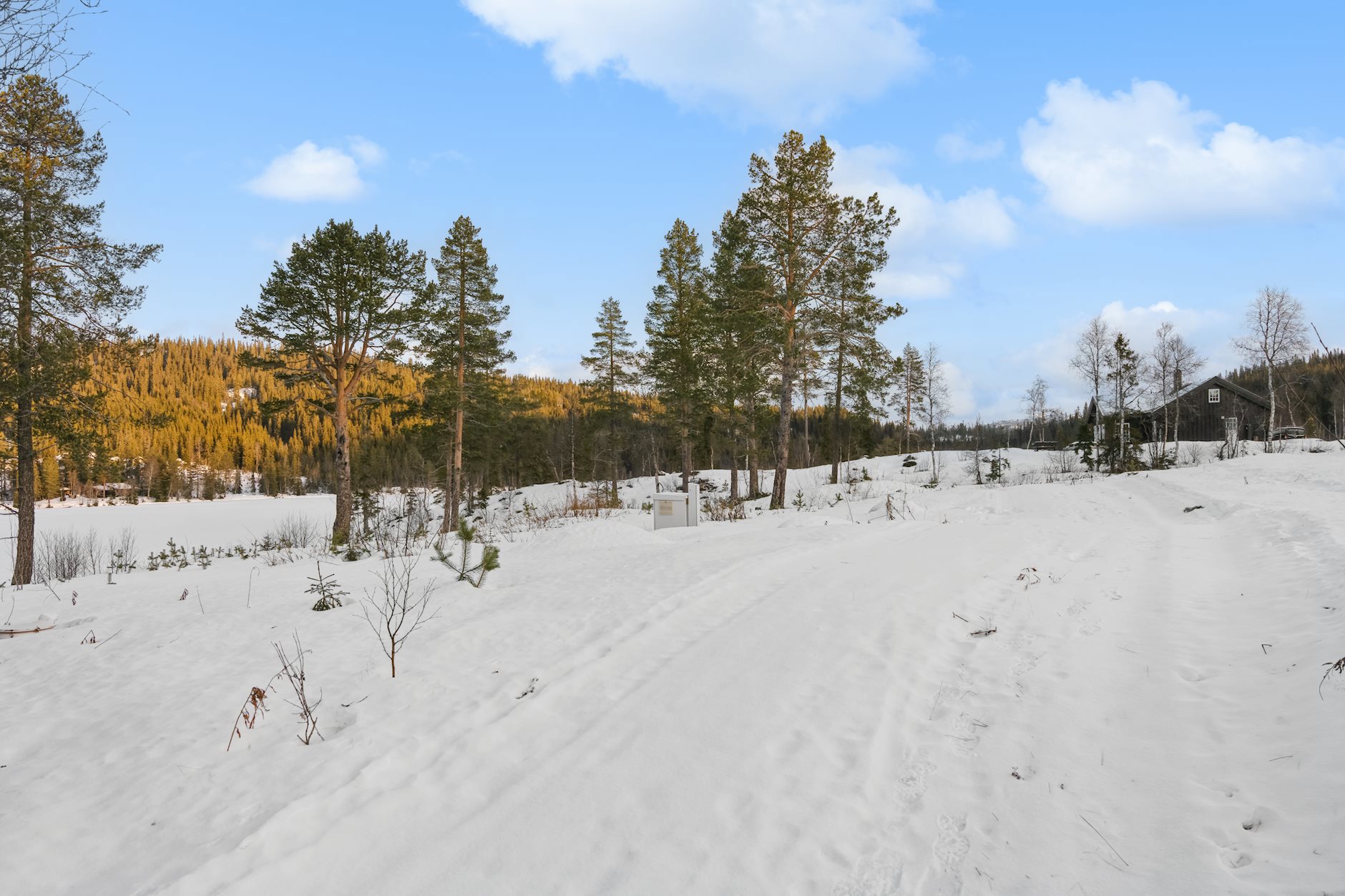 Tomt Øvre Trovasstjønn, VINJE | DNB Eiendom | Fra hjem til hjem