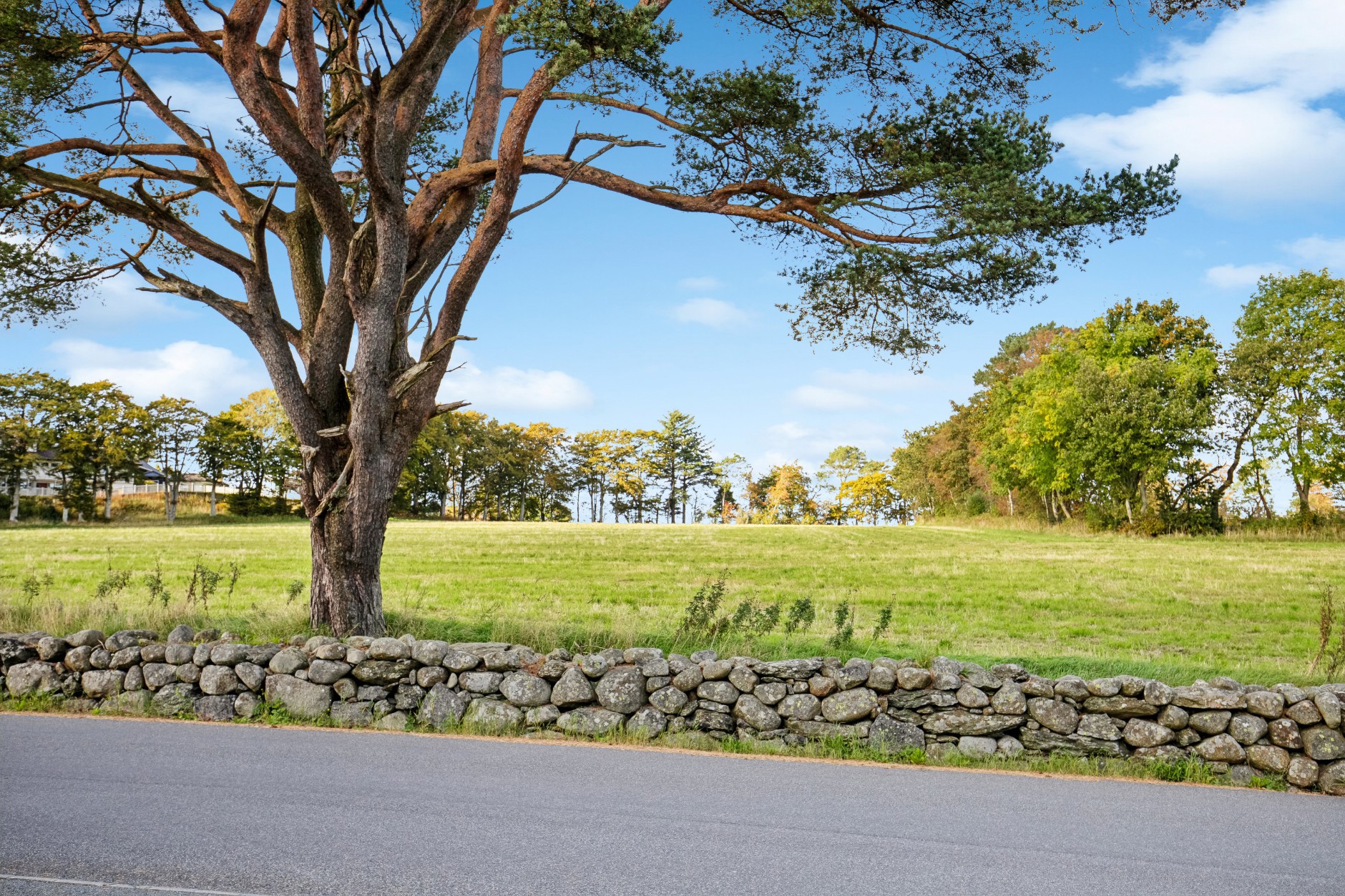 Ragbakken 24C, HAFRSFJORD | DNB Eiendom | Fra hjem til hjem