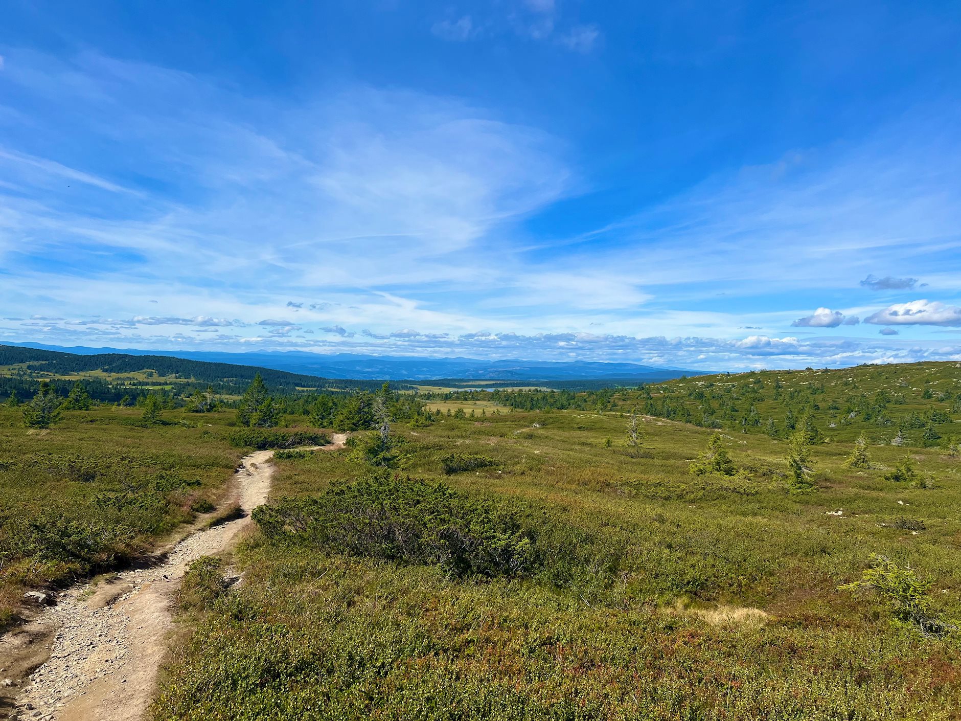 Sørlia 3A, ØYER | DNB Eiendom | Fra hjem til hjem