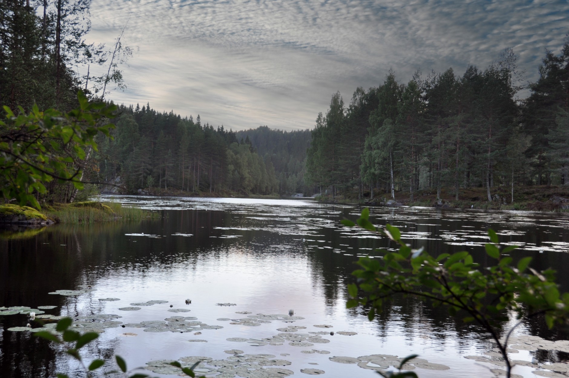 Fjellstadåsen 15, NORDBY