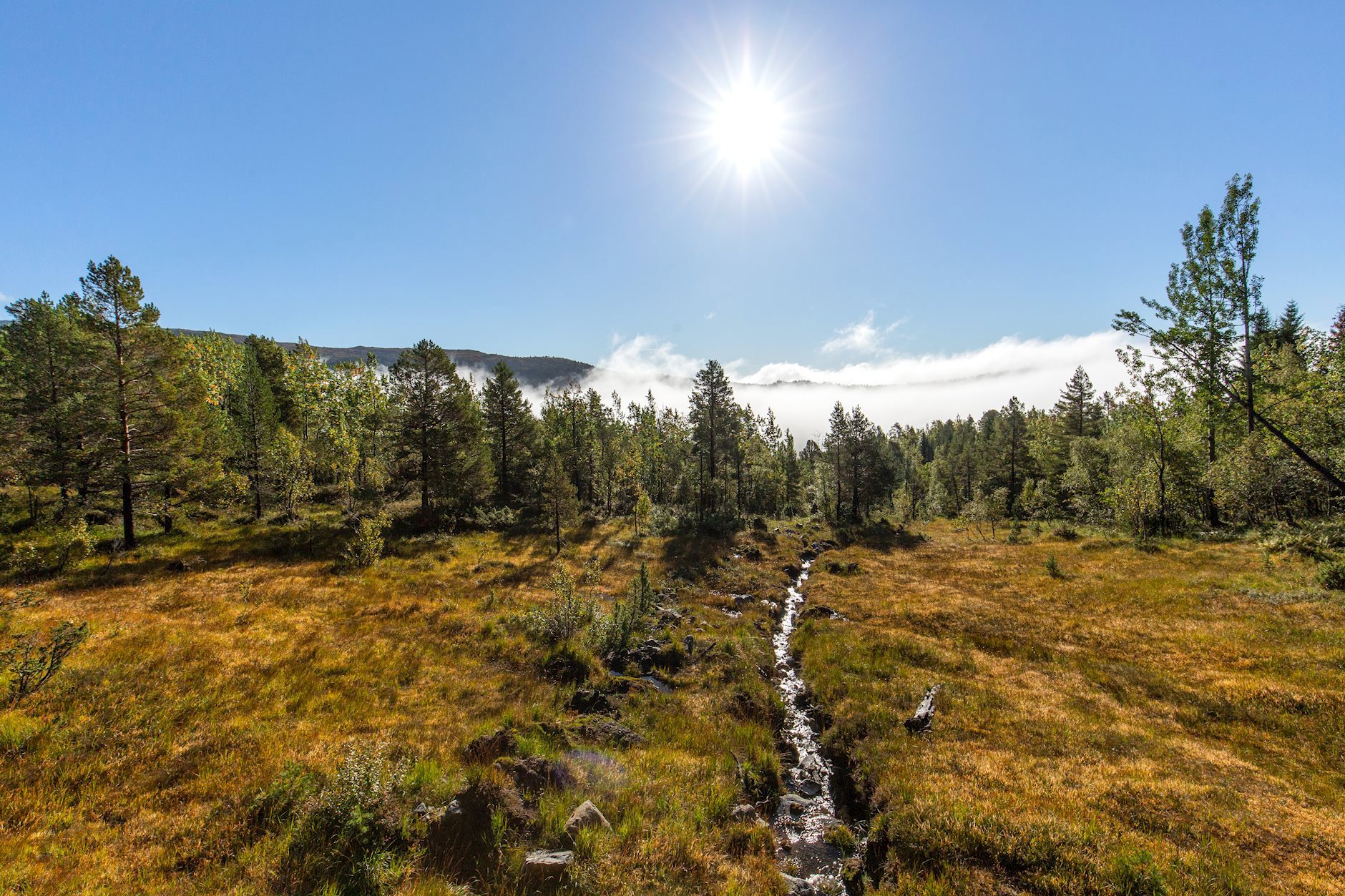 Ubebygd tomt - Årødalen/Skaret, MOLDE | DNB Eiendom | Din rådgiver fra