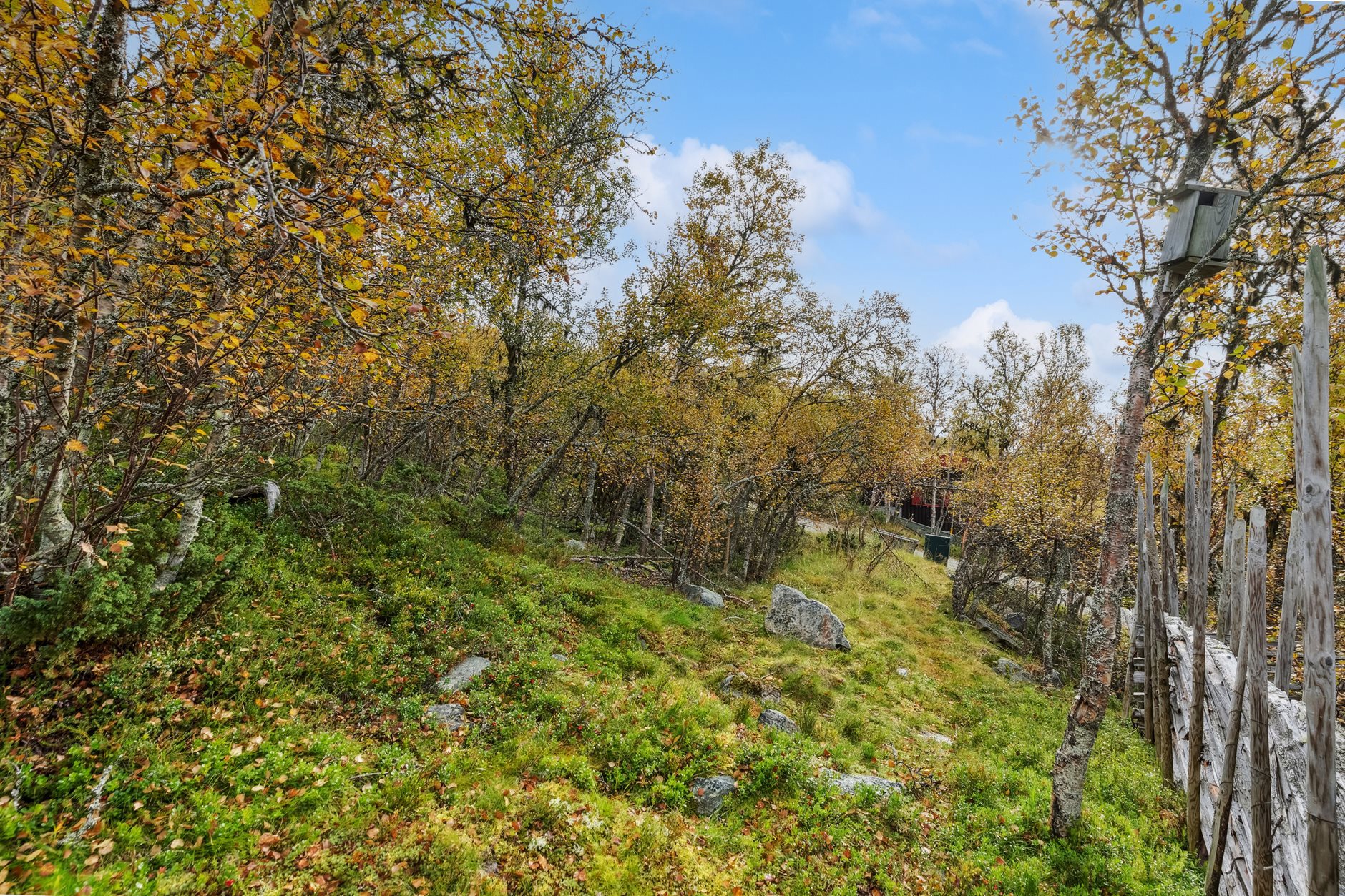 Buhaugvegen 80, VENABYGD | DNB Eiendom | Fra hjem til hjem