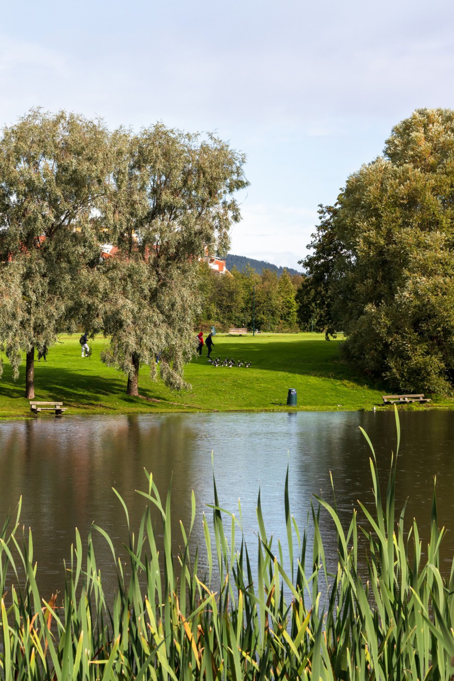 Innspurten 4B, OSLO | DNB Eiendom | Fra hjem til hjem