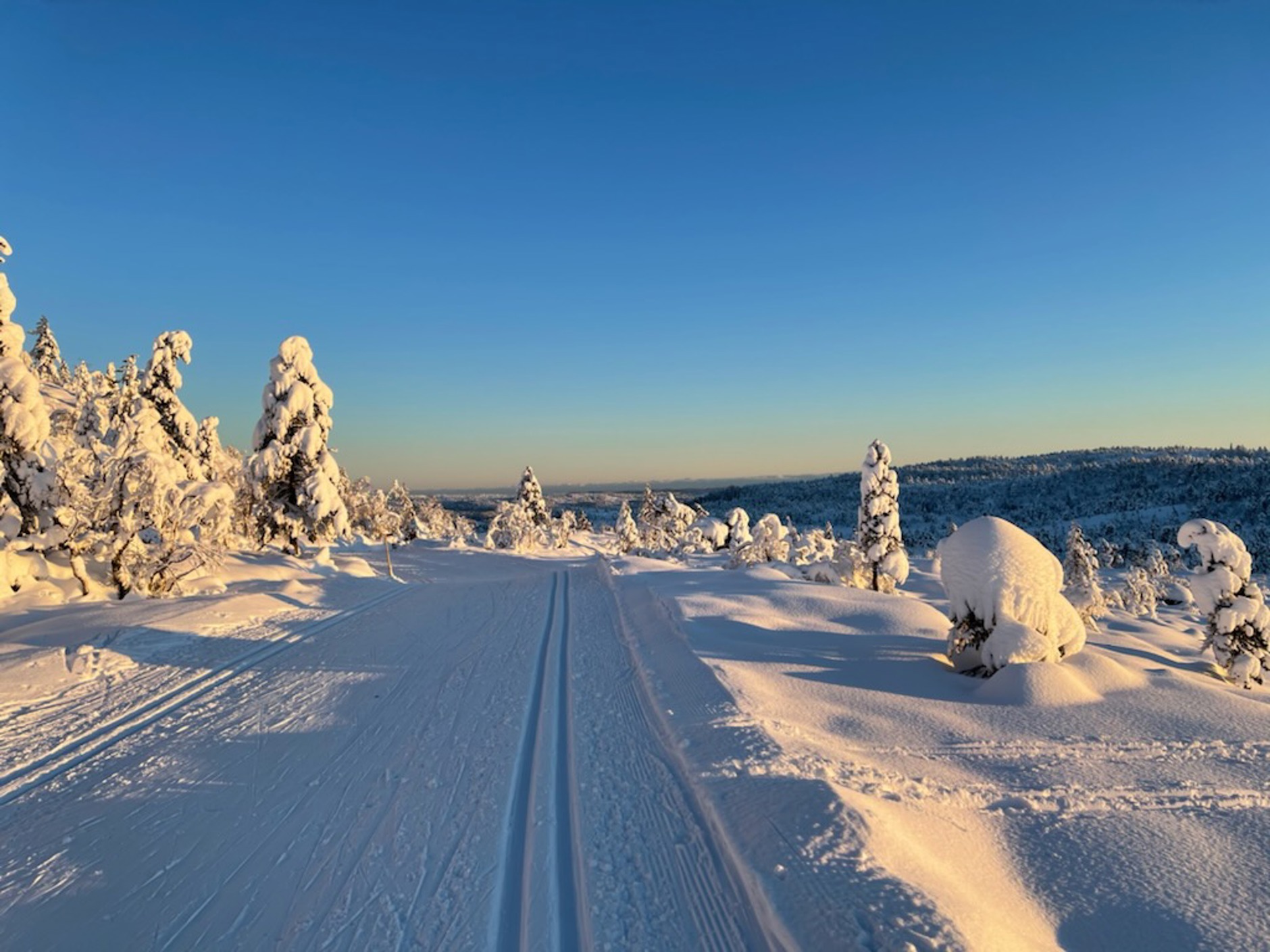 Førevatn 80, RISDAL | DNB Eiendom | Fra hjem til hjem