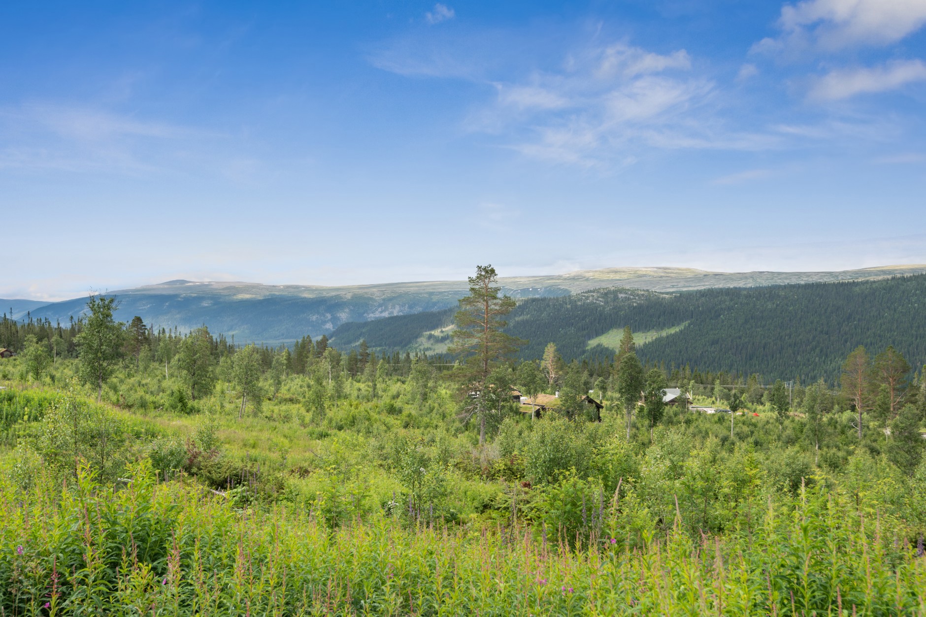 Harratråkket 11, ENGERDAL | DNB Eiendom | Fra hjem til hjem