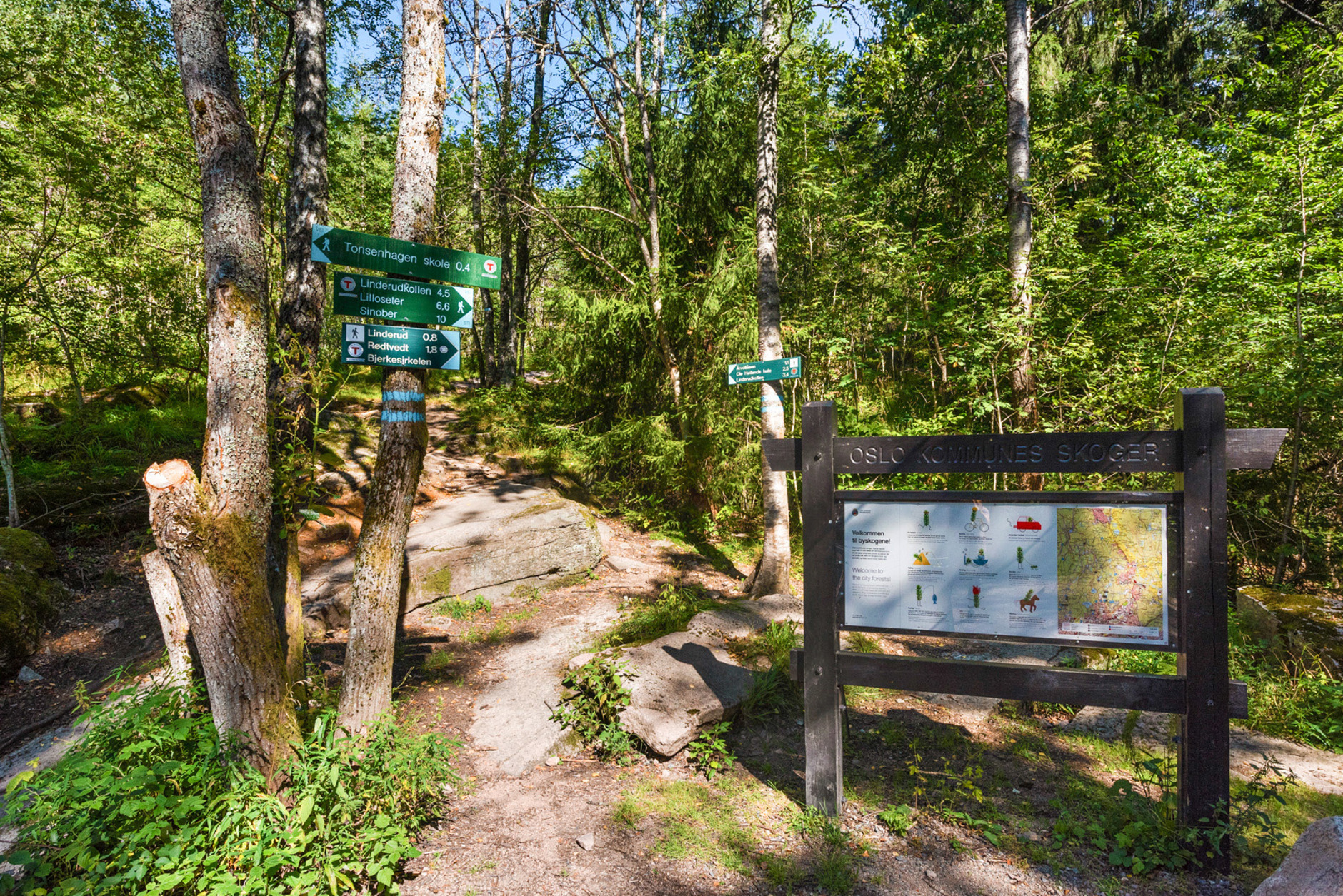 Øivinds vei 14, OSLO | DNB Eiendom | Fra hjem til hjem