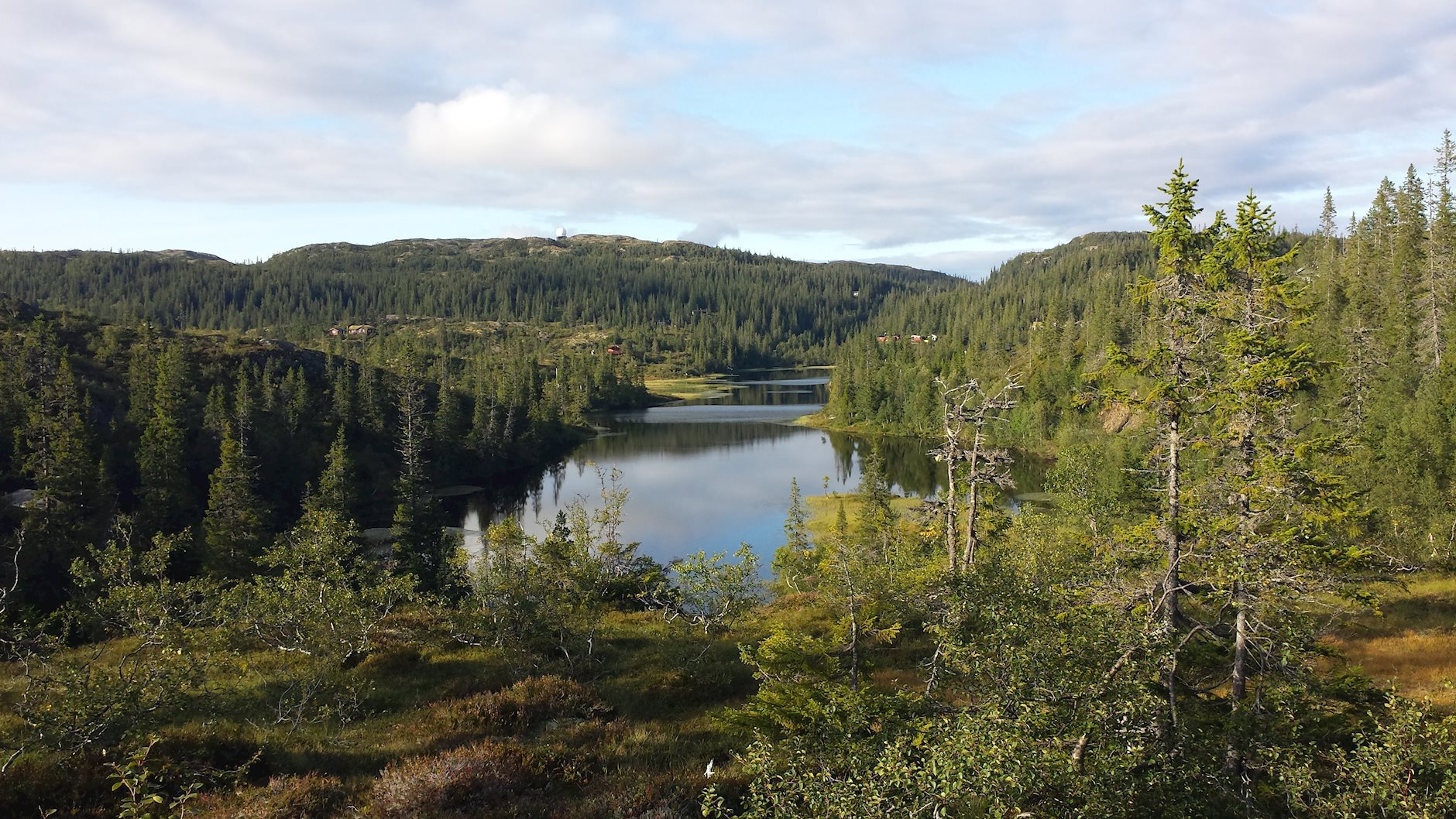 Svendalsvegen 168, SELBUSTRAND | DNB Eiendom | Fra hjem til hjem