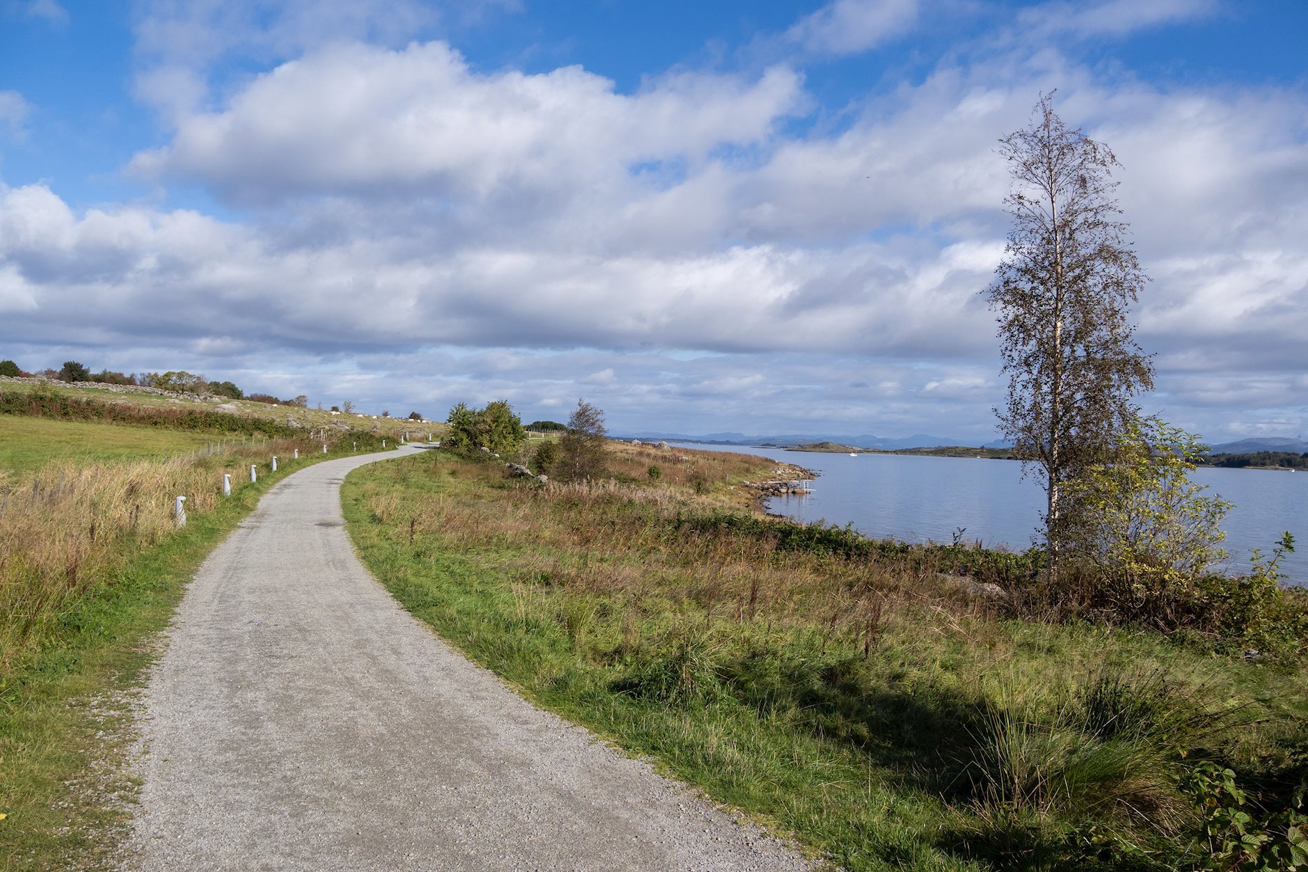 Ordfører Scheies gate 11, HUNDVÅG | DNB Eiendom | Fra hjem til hjem