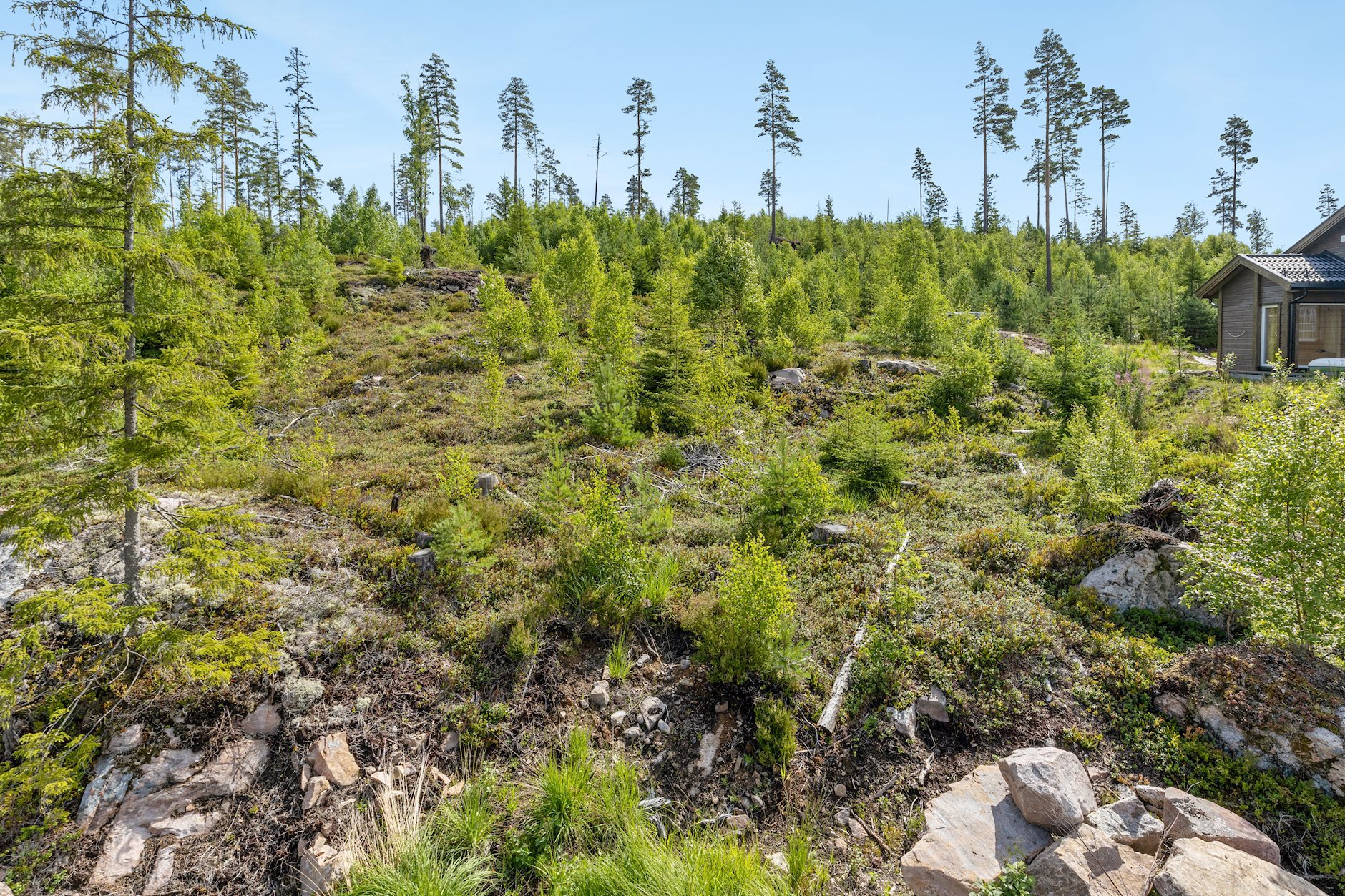 Fritidstomt i Rømskog, RØMSKOG | DNB Eiendom | Fra hjem til hjem