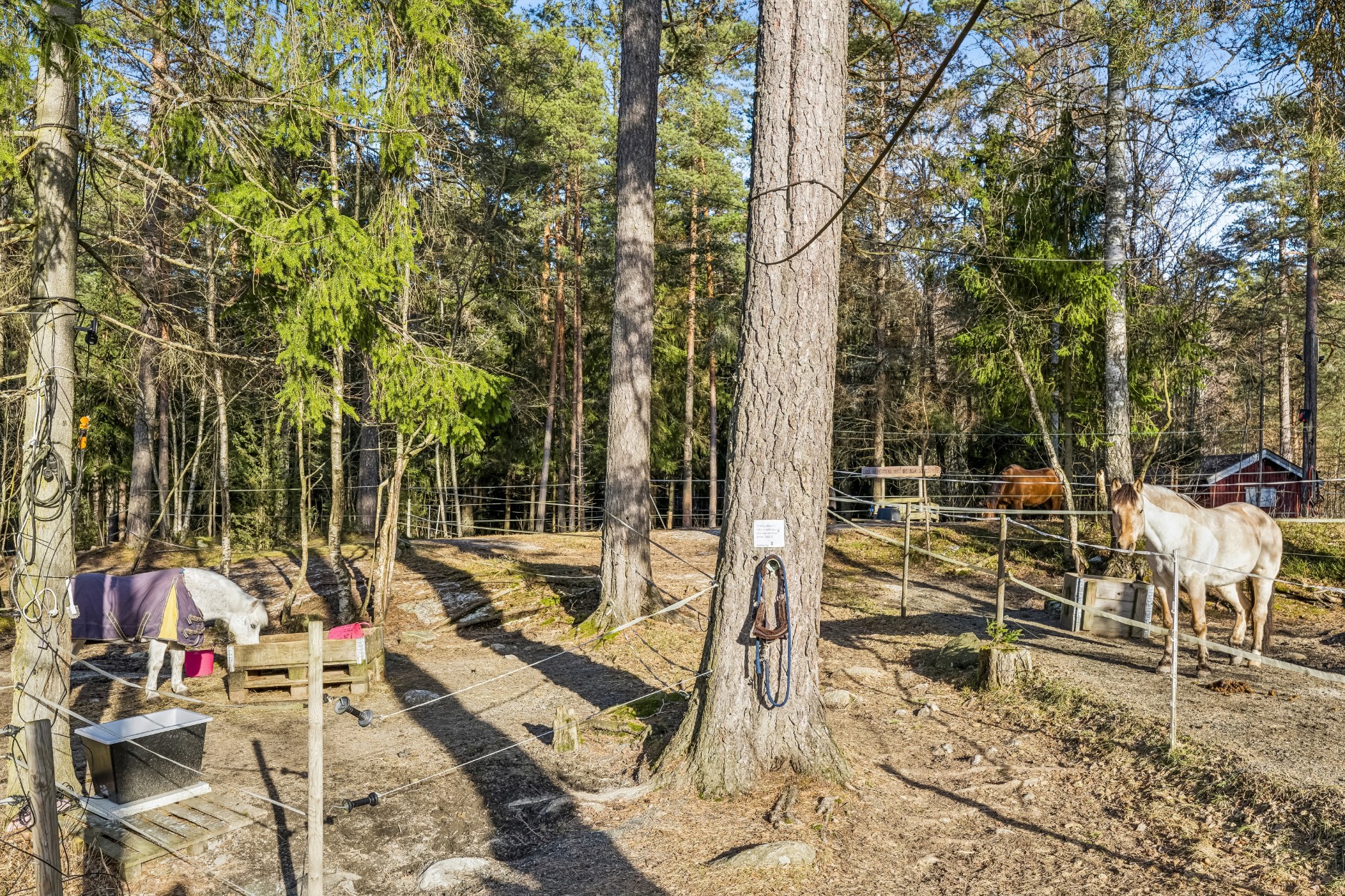 Nebbejordet 11, OSLO | DNB Eiendom | Fra hjem til hjem