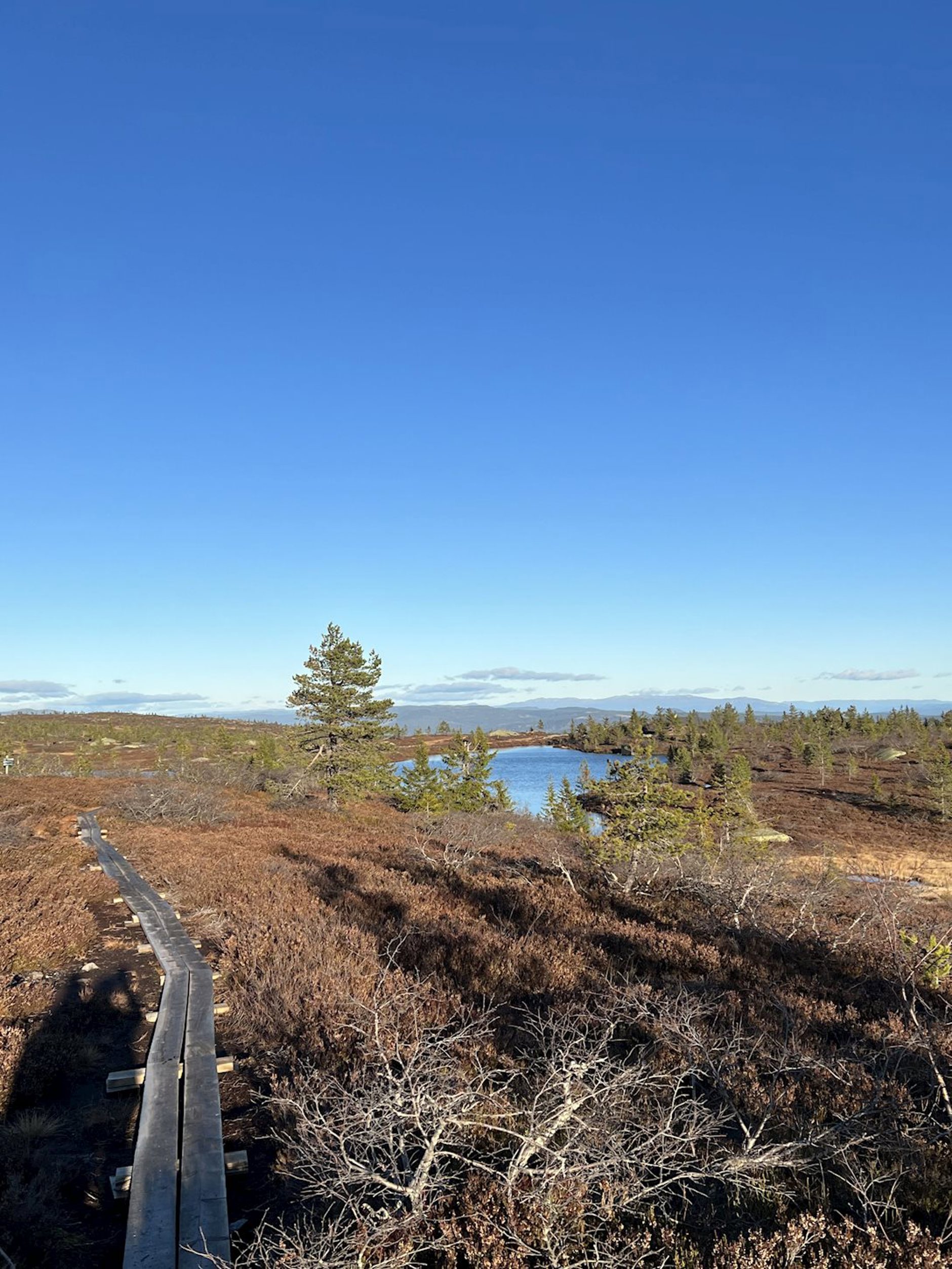 Stormyrvegen 41, LAMPELAND | DNB Eiendom | Fra hjem til hjem