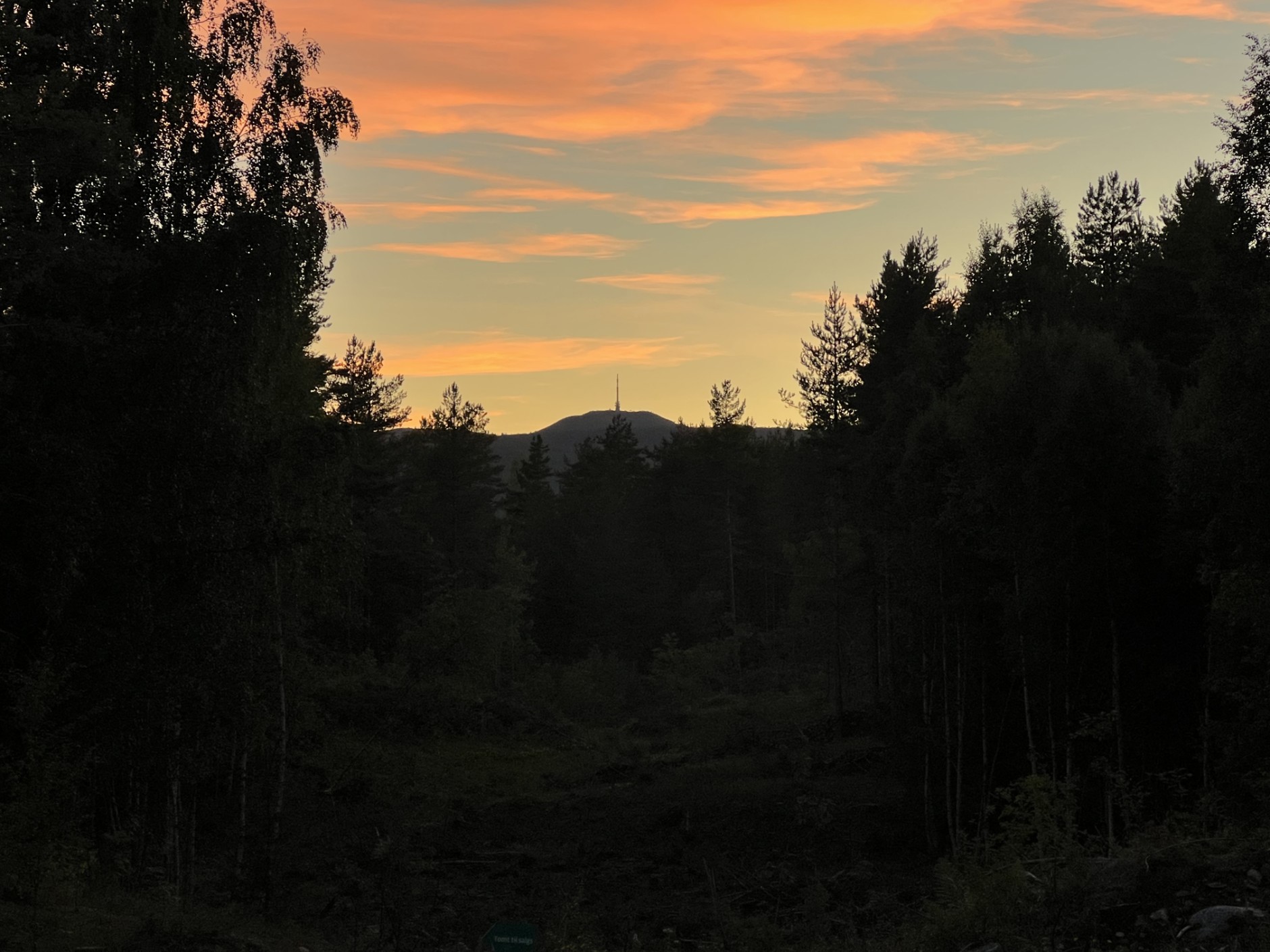 Rødshøgda A3, KONGSBERG | DNB Eiendom | Fra hjem til hjem