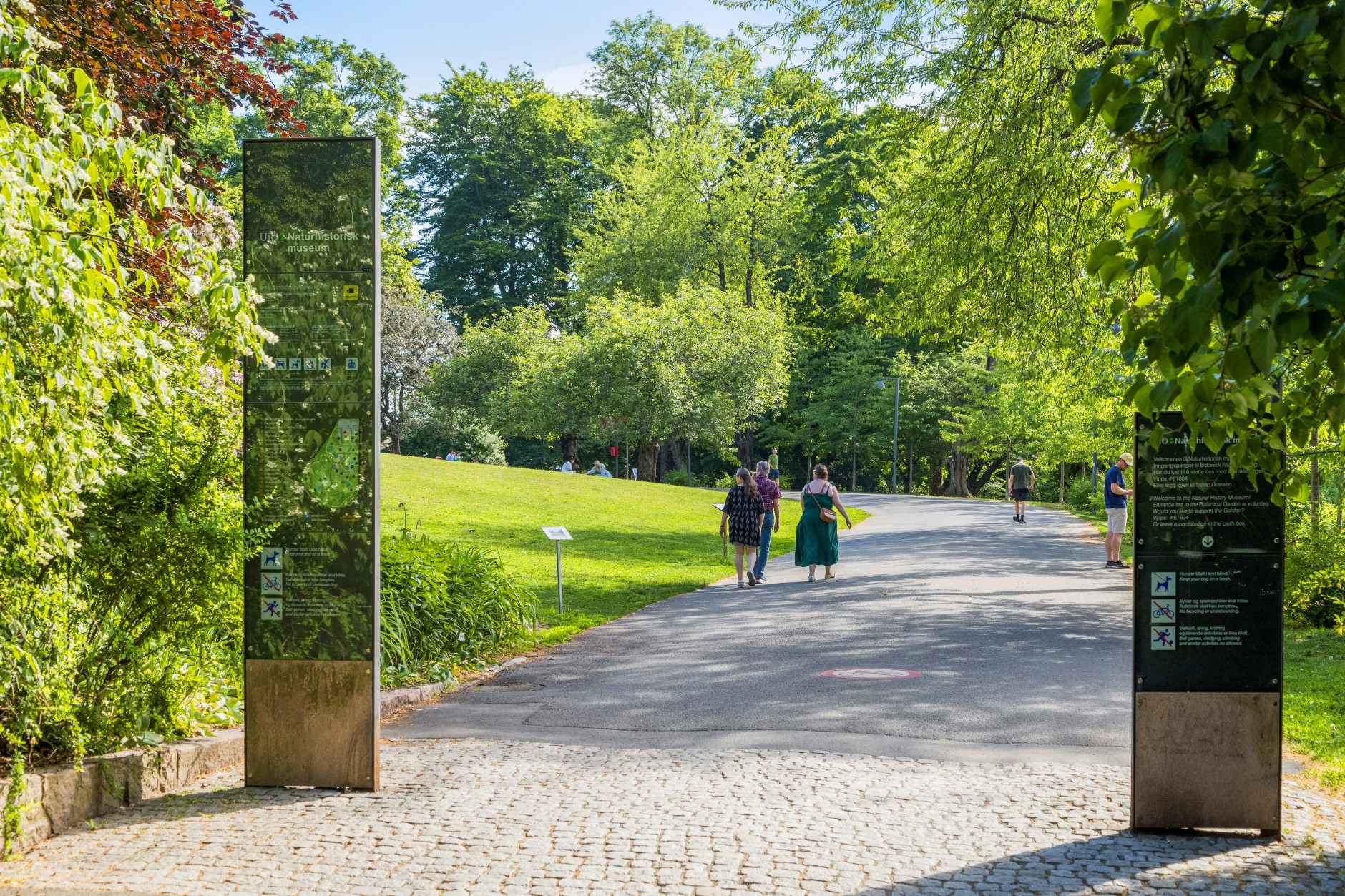 Trondheimsveien 91, OSLO | DNB Eiendom | Fra hjem til hjem