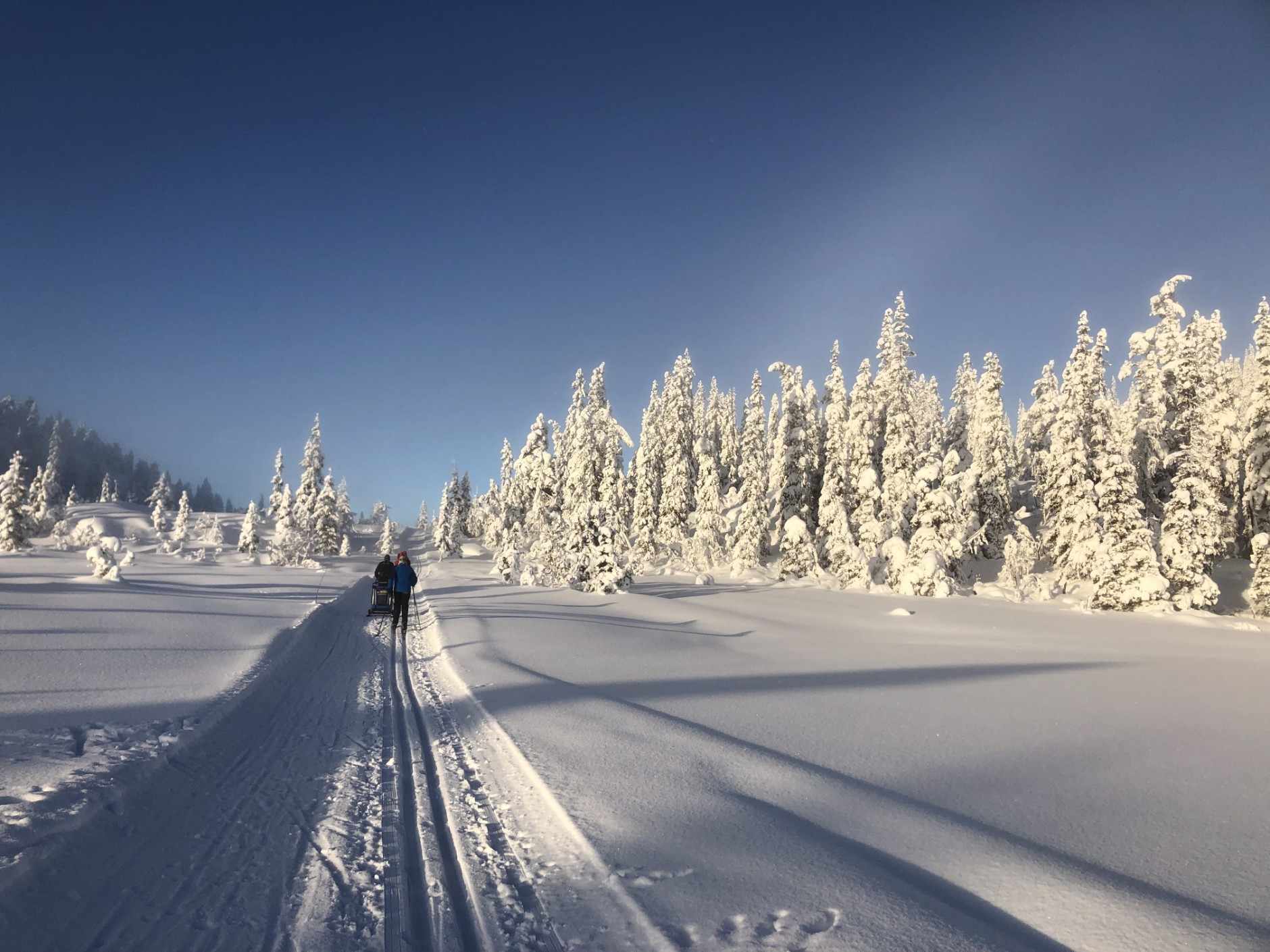 Opsalvegen 622, HJARTDAL | DNB Eiendom | Fra hjem til hjem