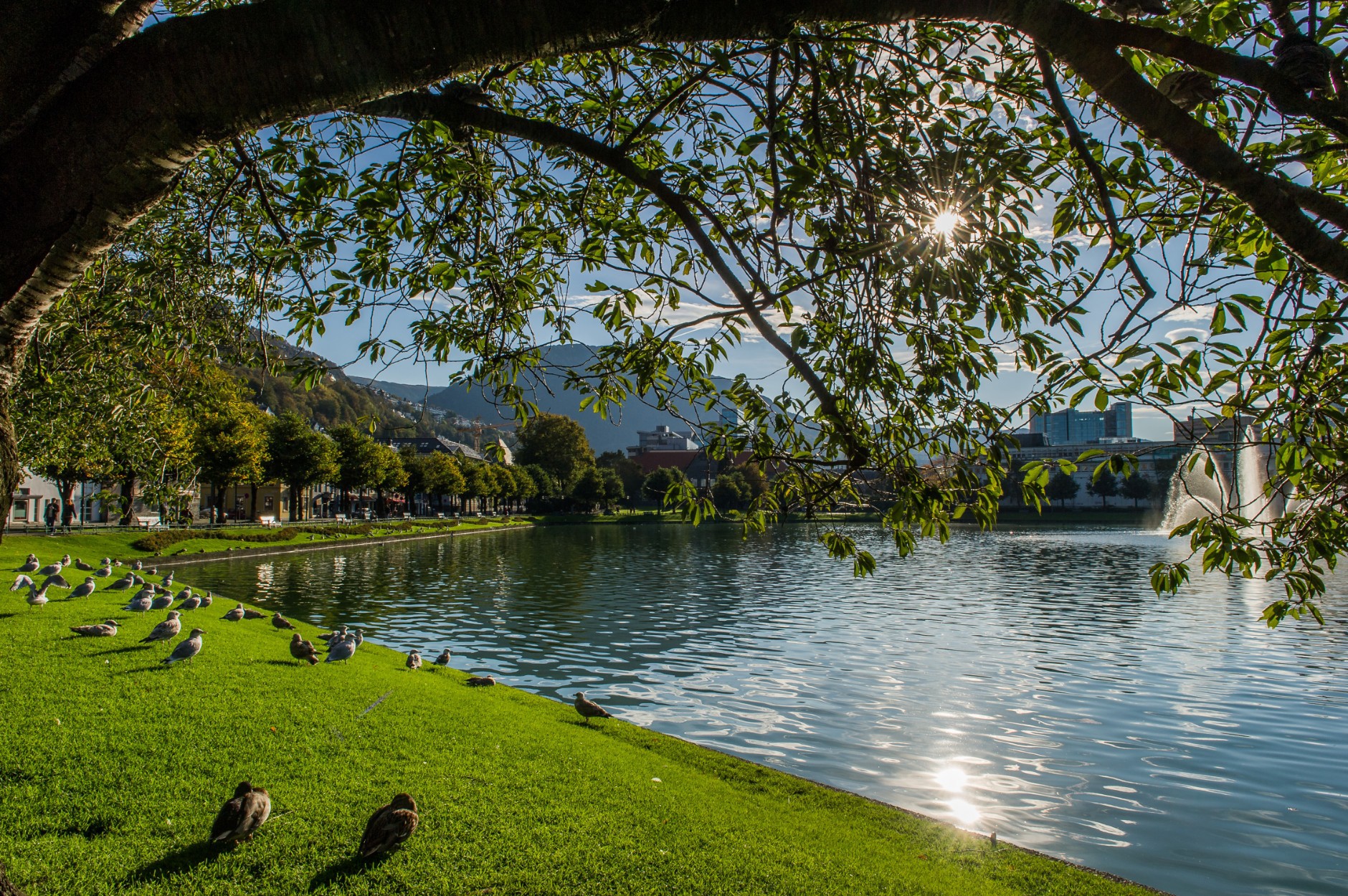 Solheimslien 40, BERGEN | DNB Eiendom | Fra hjem til hjem