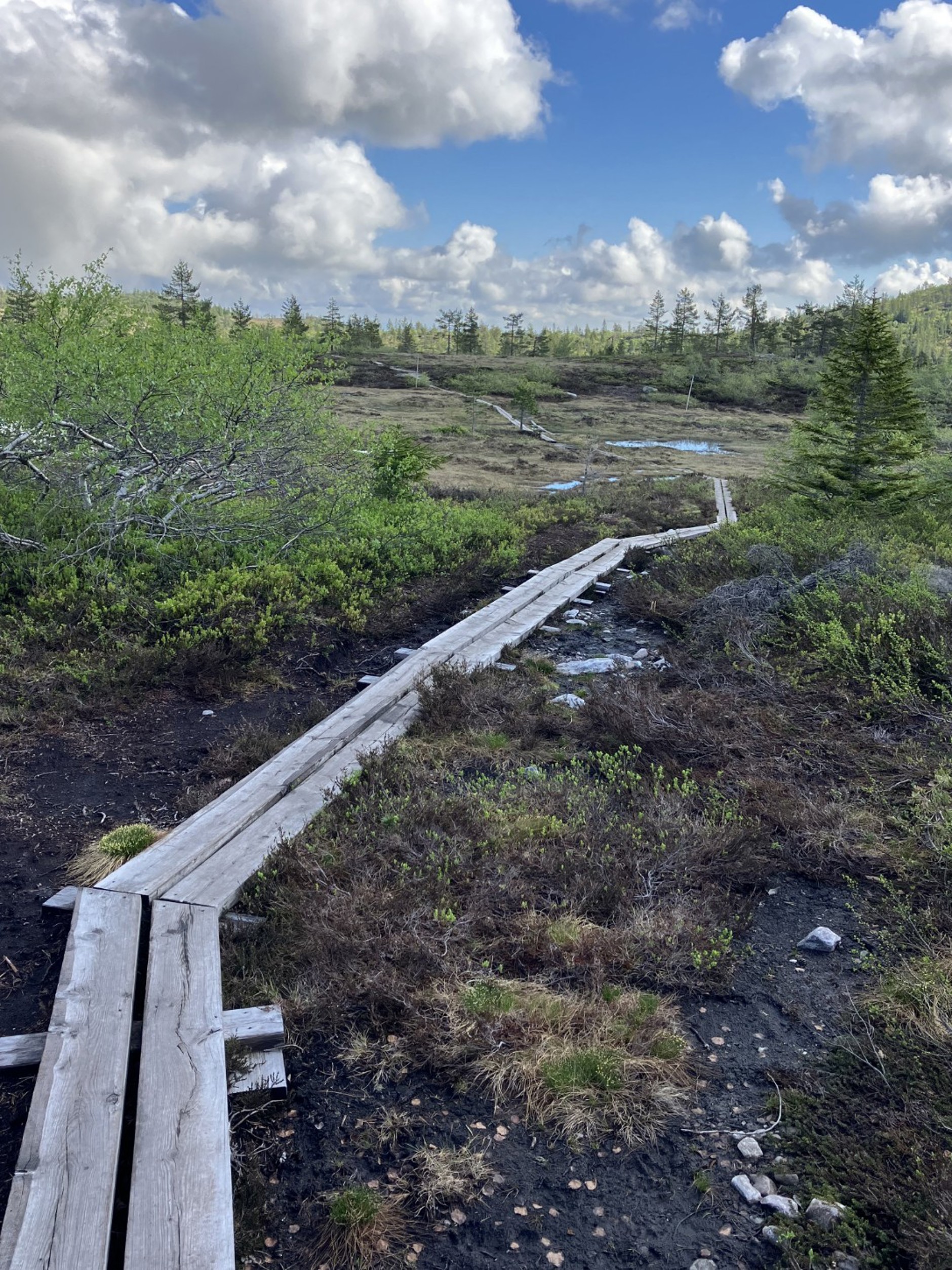 Liaveien 80, KONGSBERG | DNB Eiendom | Fra hjem til hjem