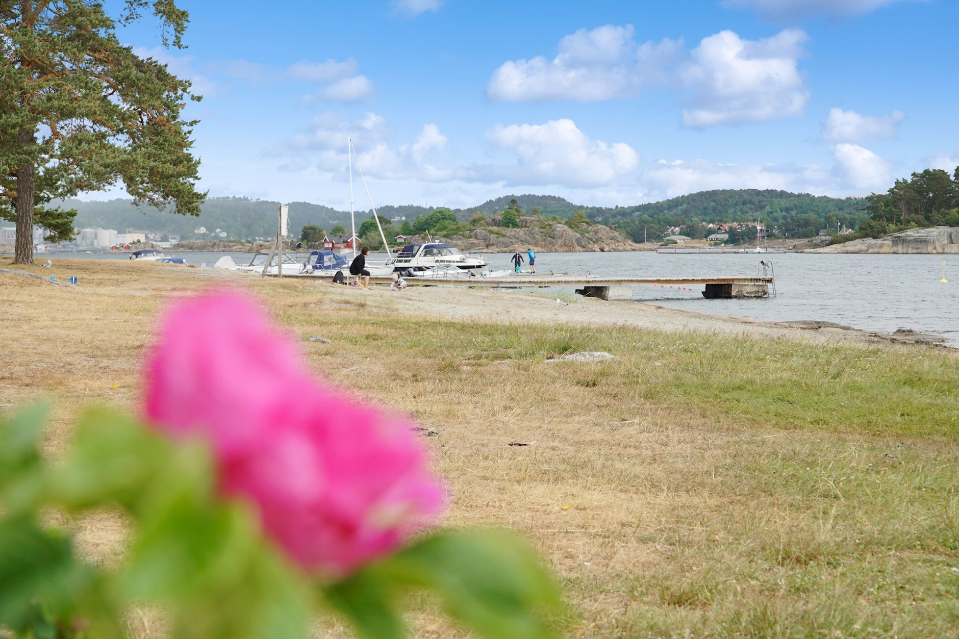 Berganskauen 18, SANDEFJORD | DNB Eiendom | Fra hjem til hjem