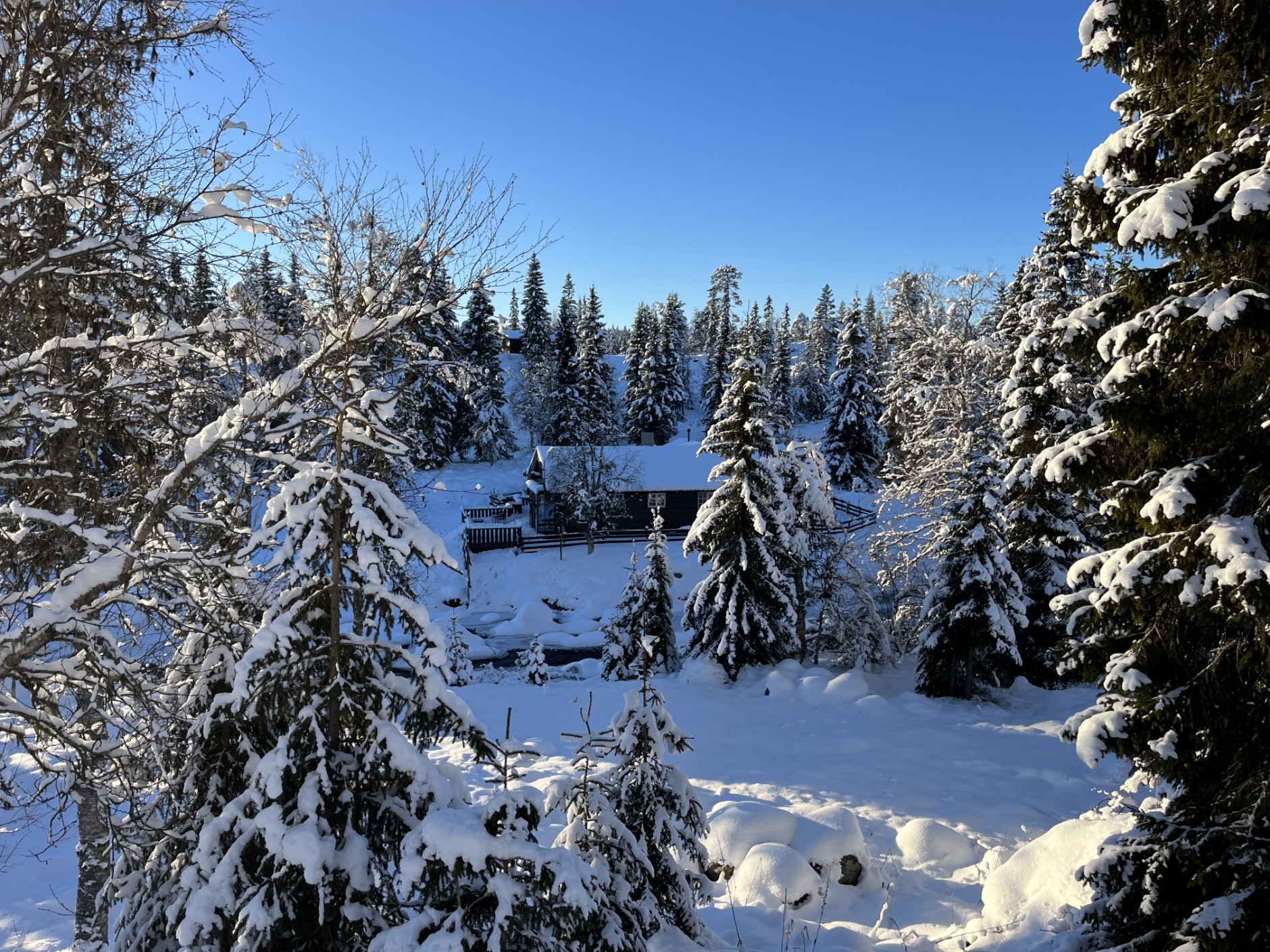 Bjønnåsen 15, BRUMUNDDAL | DNB Eiendom | Fra hjem til hjem