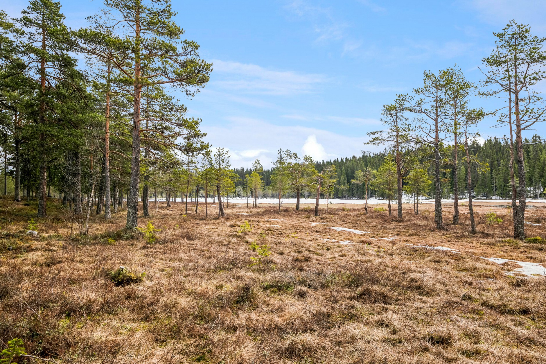 Gneisen 6D, LILLEHAMMER | DNB Eiendom | Fra hjem til hjem